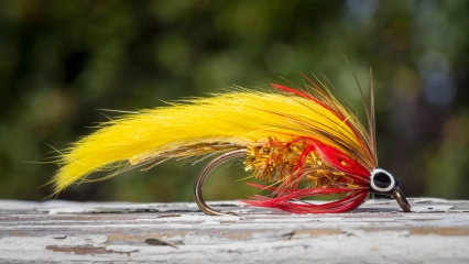 Yellow and red Yellow and red