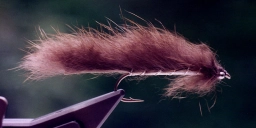 The Fair Fly The Fair Fly