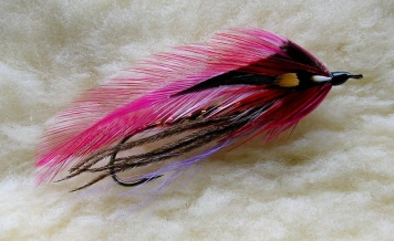 Indian Rock Indian Rock