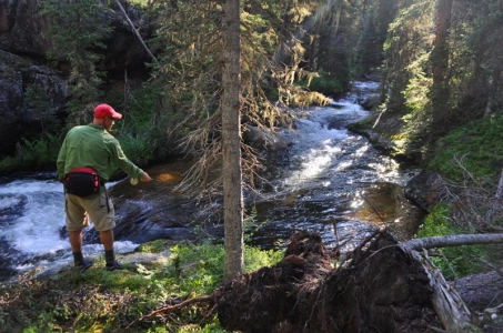 Fishing the Pockets Fishing the Pockets