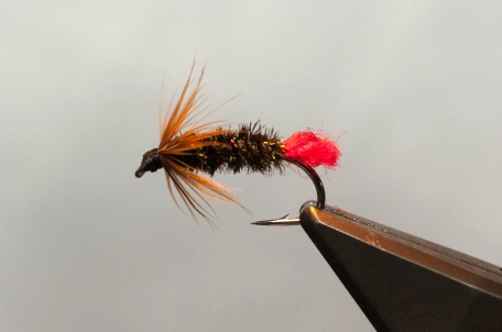 Red tag for sea runs Red tag for sea runs