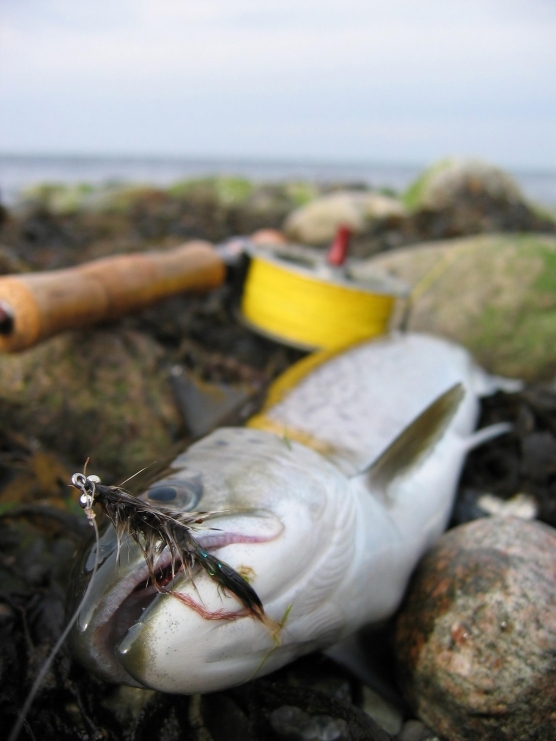 Perspective Perspective