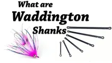 Video thumb for What is a Waddington Shank?