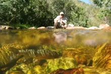 User submitted picture: Fighting a rainbow on the...