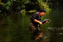 User submitted picture: Black beauty from secret ...