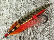 User submitted picture: A Salmon's Surprise