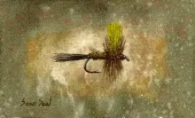 User submitted picture: This is my watercolor ren...