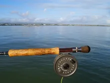 User submitted picture: My Humble Outfit for some...