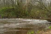 User submitted picture: Try to find...