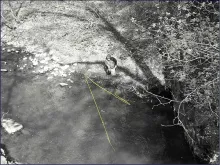 User submitted picture: ...