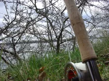 User submitted picture: Gear