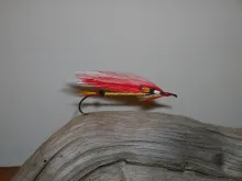 User submitted picture: Alans Parm a Special Stre...