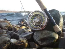 User submitted picture: Scierra Traxion close up