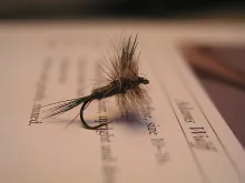 User submitted picture: Adams Wulff