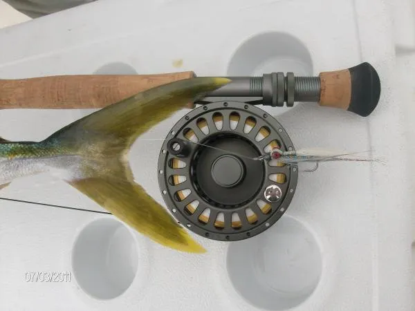 User submitted picture: Reflections: Yellow Tail ...