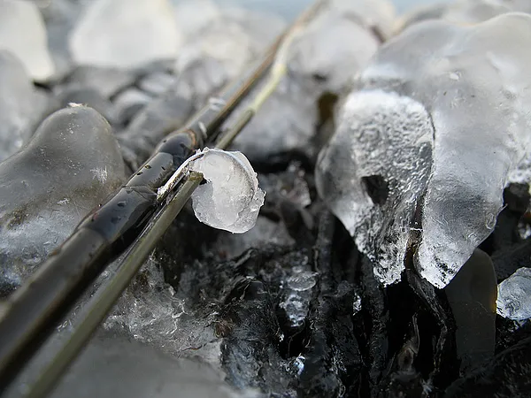 User submitted picture: Difficult fishing