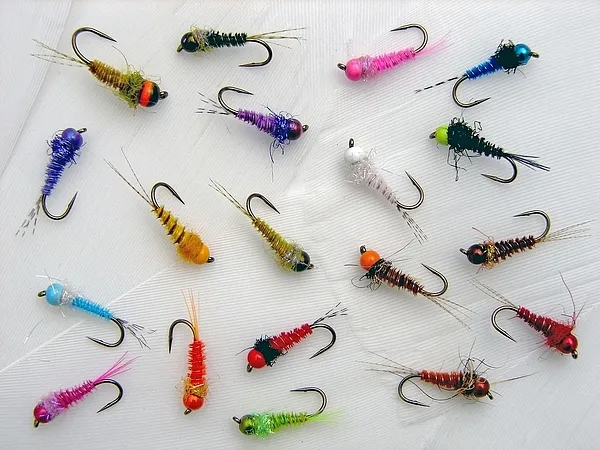 User submitted picture: Did you make your choice?