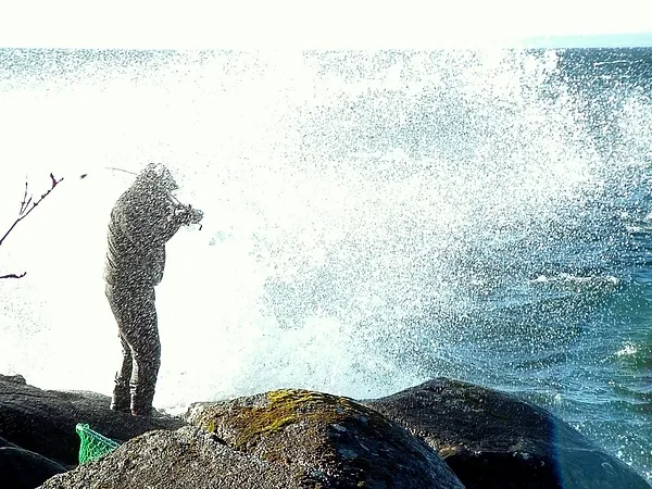 User submitted picture: A picture taken in the be...