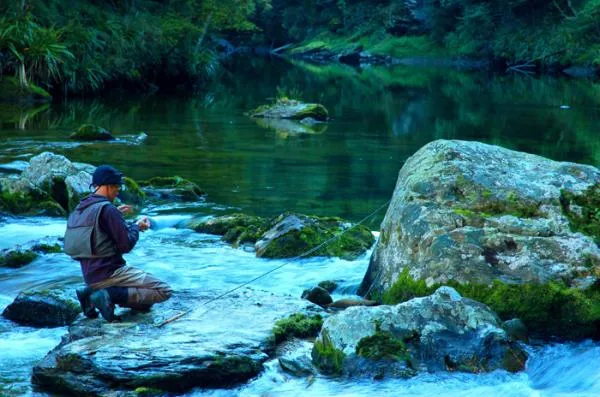 User submitted picture: getting ready - Mataura r...