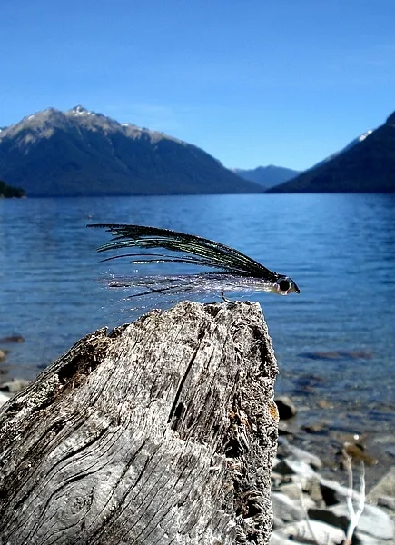 User submitted picture: Epoxi minnow for the big ...